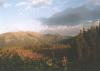 nizketatry93